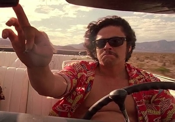 Benicio Del Toro as Dr. Gonzo